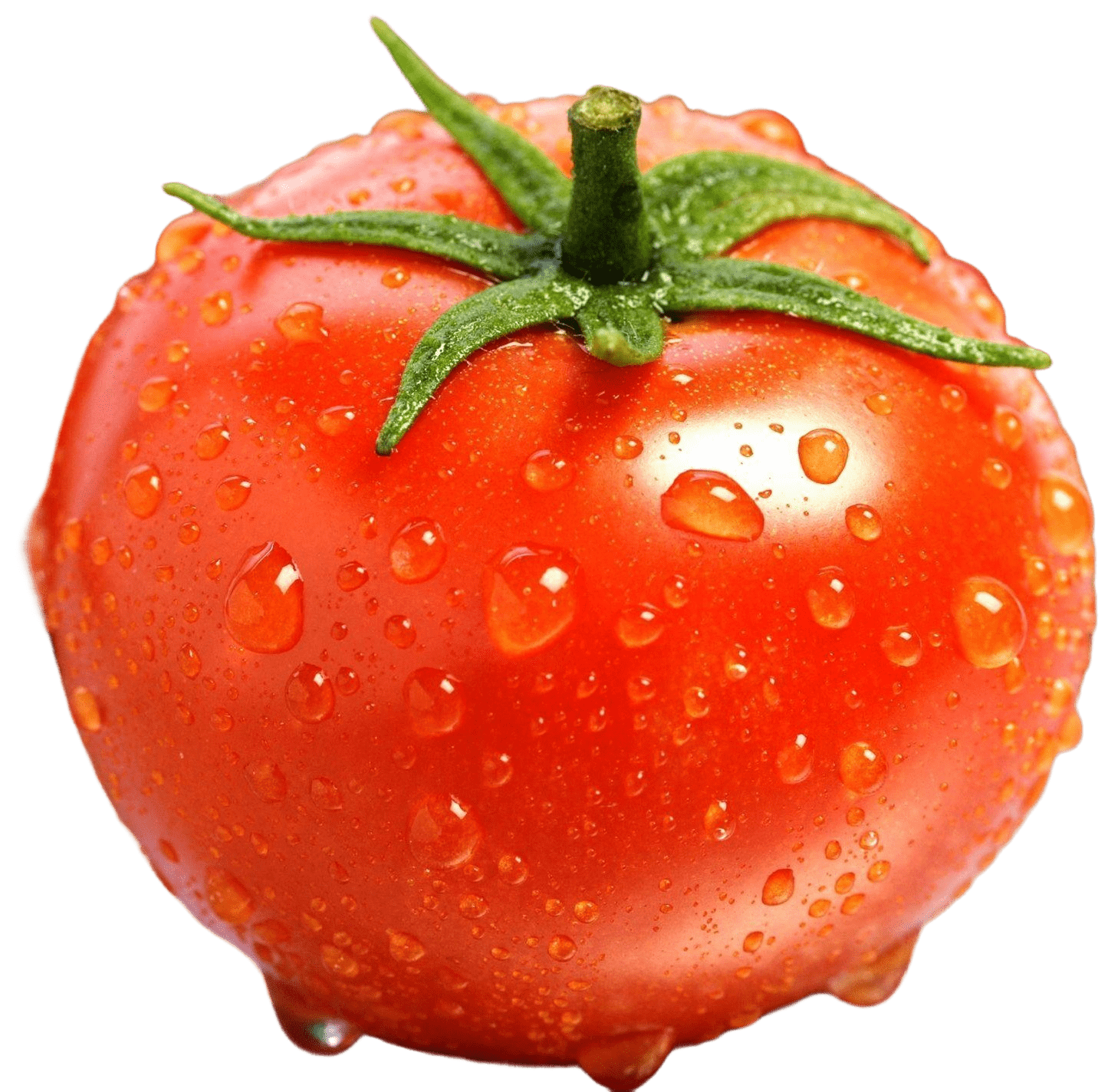 Tomato